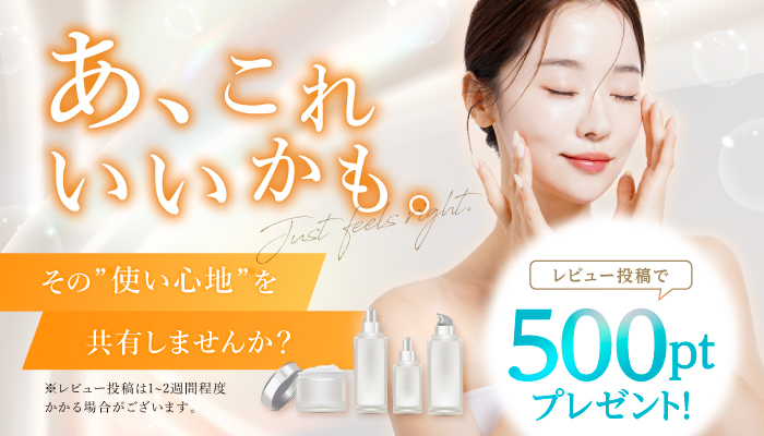 レビュー投稿
