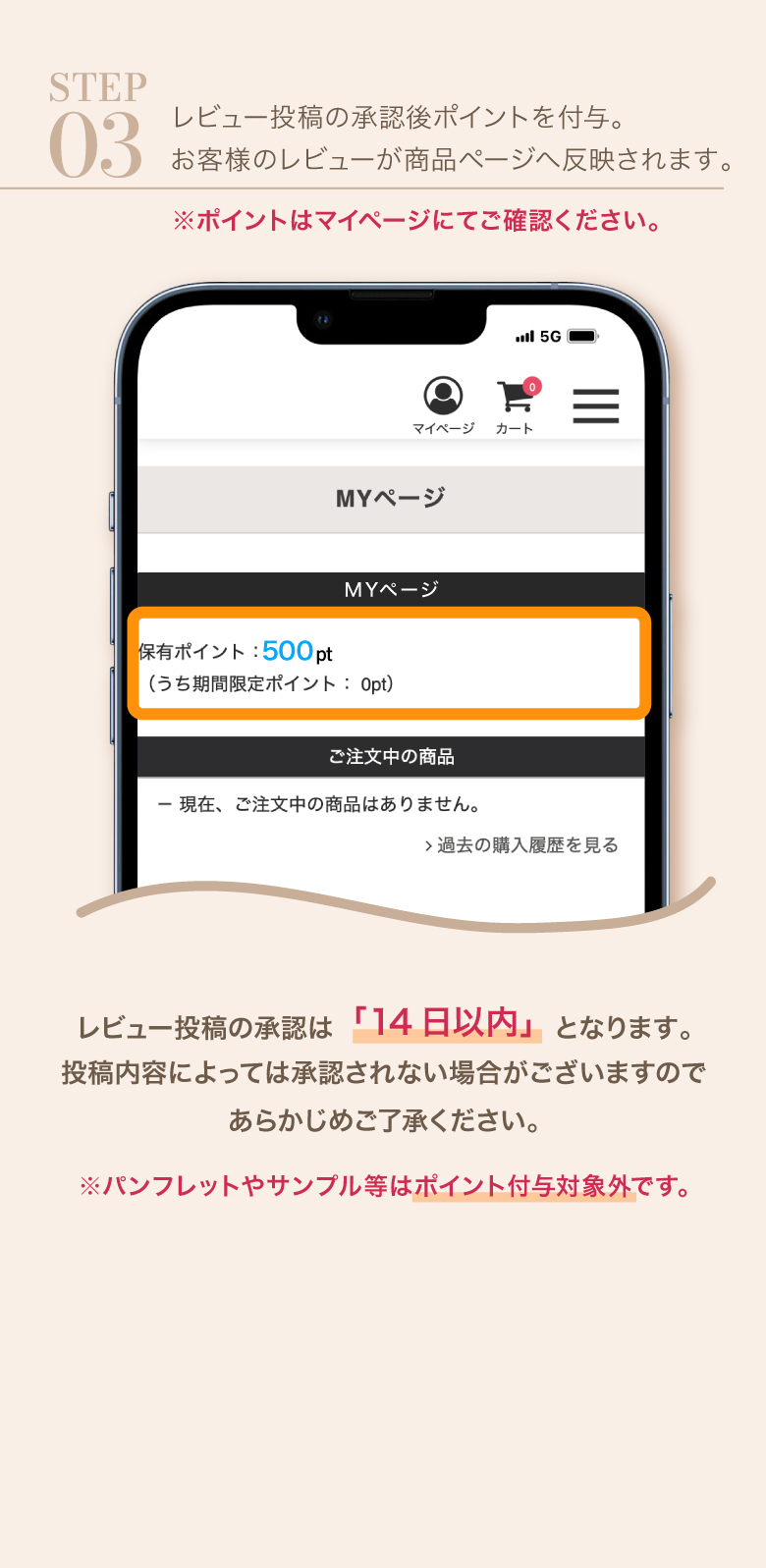 レビュー投稿で500ptプレゼント